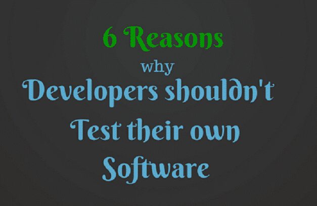Software Testers